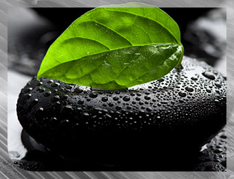 View recent blogs