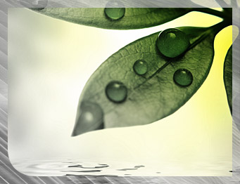 Login to 17 Designs BLOG with a registered user id.