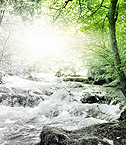 Blogs about web development and Internet.