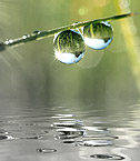 Register to view 17 Designs BLOG.