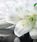 Blogs about web development and Internet.