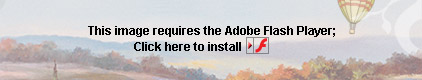 Get Adobe Flash player
