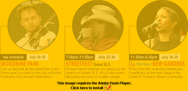 Get Adobe Flash player