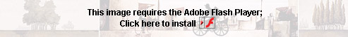 Get Adobe Flash player
