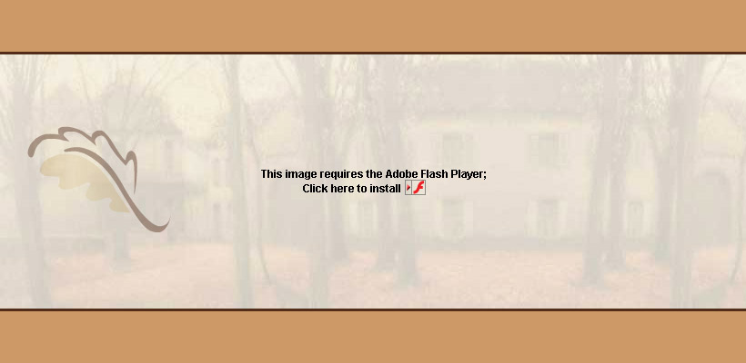 Get Adobe Flash player