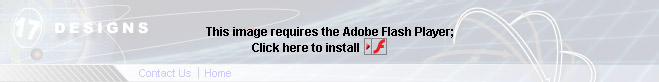 Get Adobe Flash player