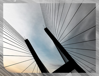 We are eager to elevate your advertising requirements with our custom website development and web programming.