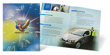 Romex Security Brochure