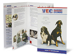 Veterinary Emergency Clinic Brochure