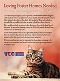 VEC Emergency Clinic Poster