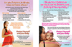 Waterloo Wellington Pregnancy and Diabetes Posters