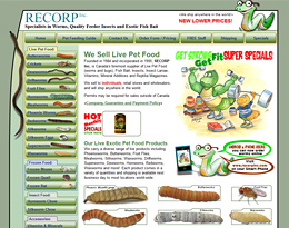 www.recorpinc.com