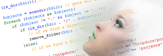 PHP object oriented coding PHP web design, PHP development