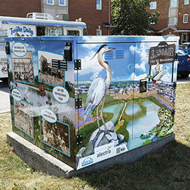 Public Art - Alectra Box in Mississauga by Stella Jurgen