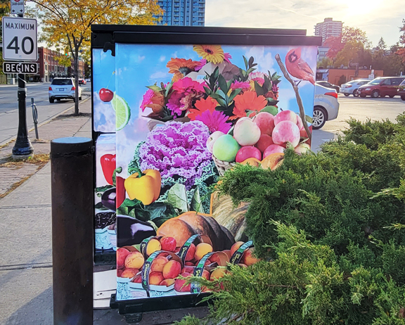 Stella Jurgen - Alectra electrical box- East - Port Credit, Mississauga