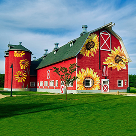 Stella Jurgen - Barn Art - Concept